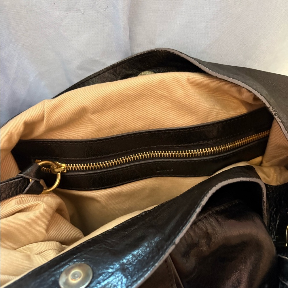 Chloe - Picture 12 of 14